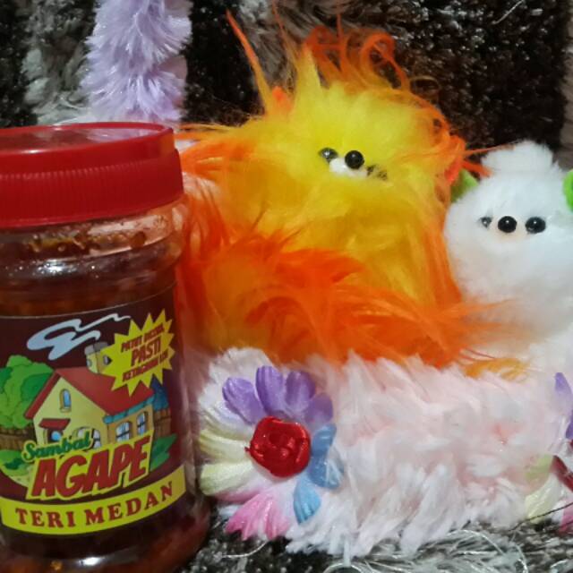 

Sambal Teri Medan murah enak agape