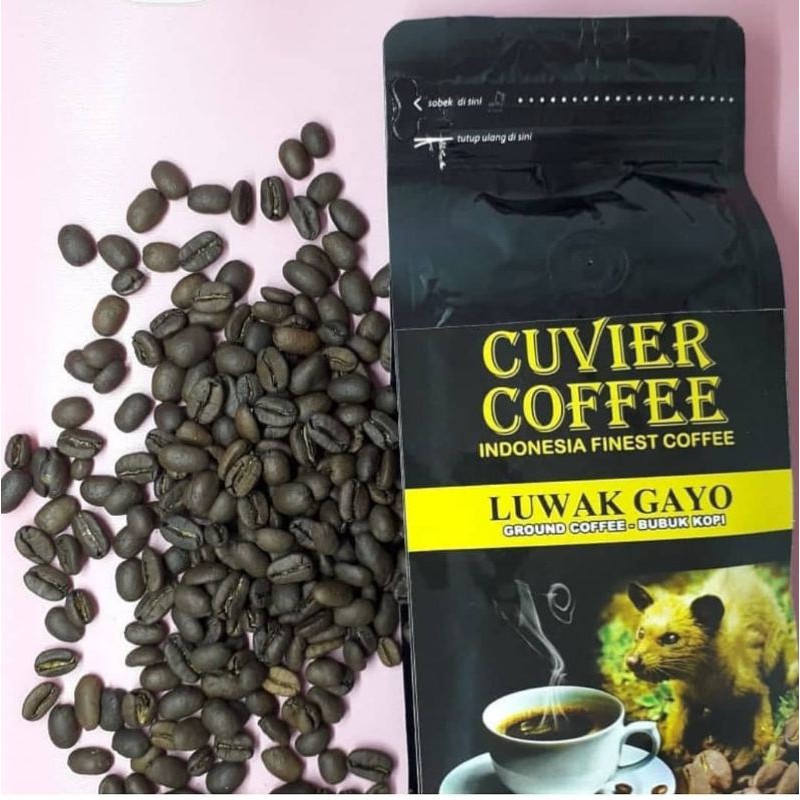 

Kopi, Kopi Gayo ,Kopi Luwak,Kopi Specialty, Cuvier Luwak Gayo Coffee