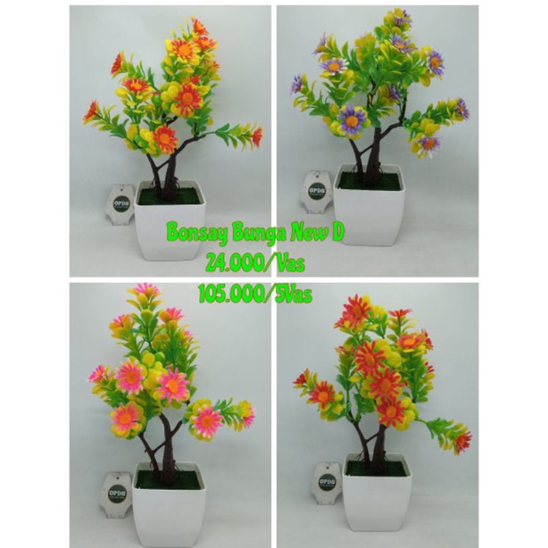 Tanaman Hias Bonsai Bunga Pot Bonsai