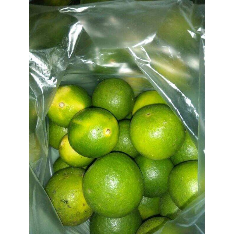

jual jeruk nipis 1 kg