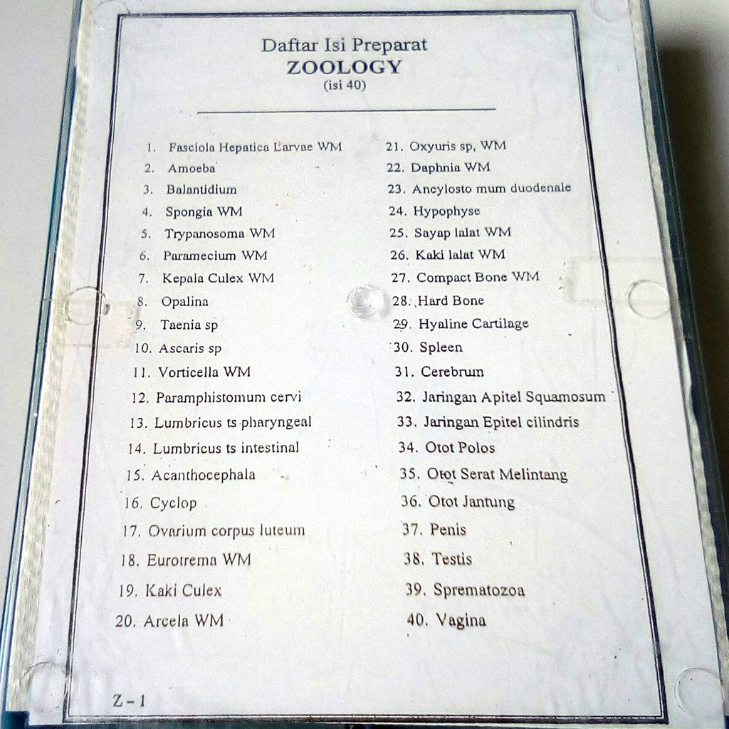 Sel Hewan Struktur Sel Zoologi Preparat Isi 40 Sel Shopee