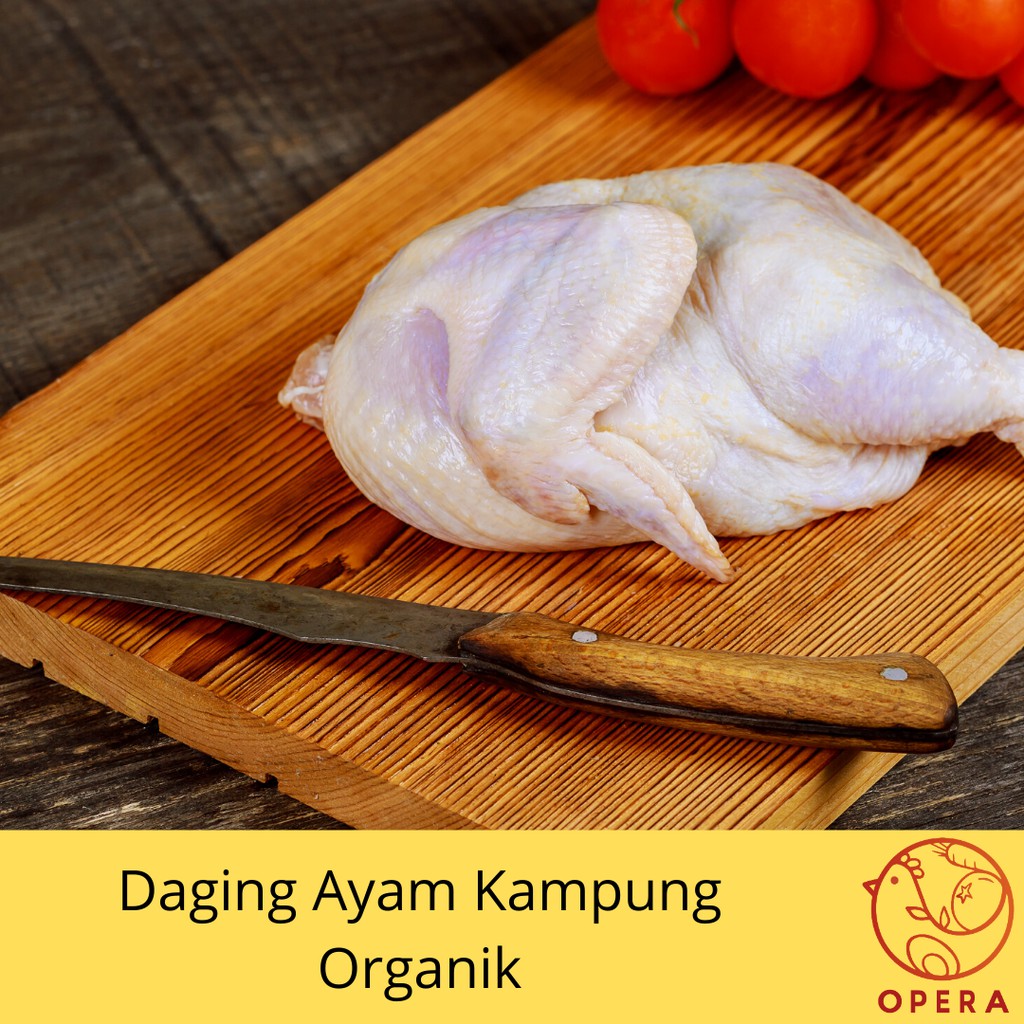 

Jual Daging Ayam Kampung Organik "Opera Organics