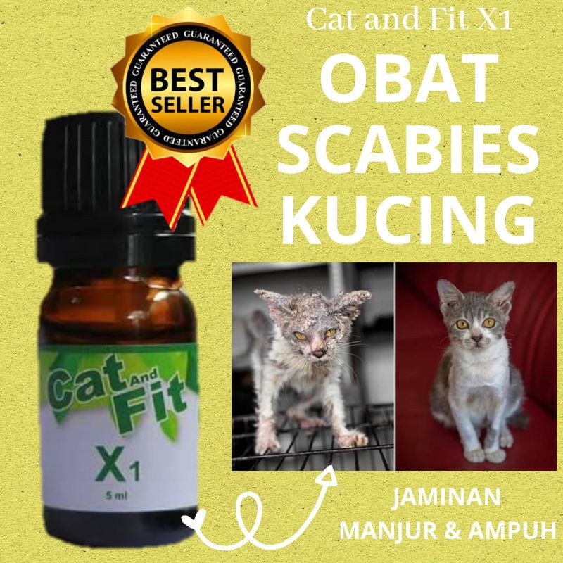 {PROMO!!!} PAKET OBAT KUCING CAT AND FIT X1 DAN SHAMPOO V1 OBAT JAMUR KUTU SCABIES RINGWORM KUCING