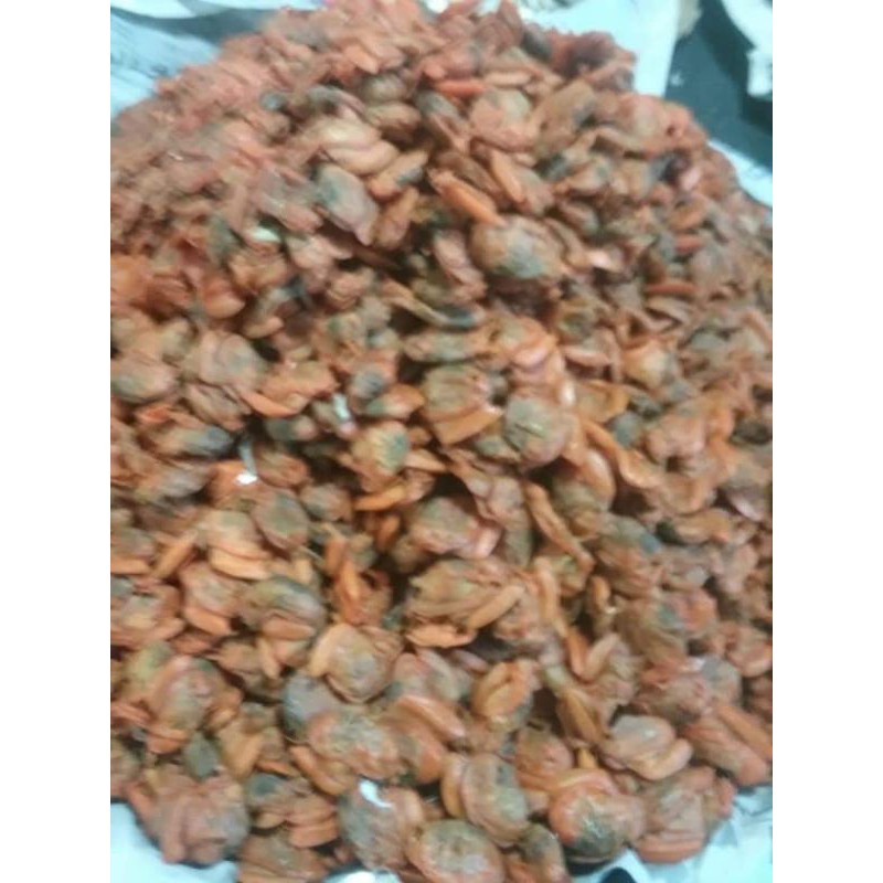 

kerang asin