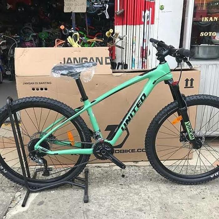 sepeda hybrid carbon