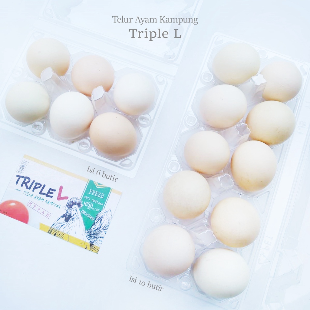 

DA (Area Bandung) Telur / Telor Ayam Kampung Arab Fresh
