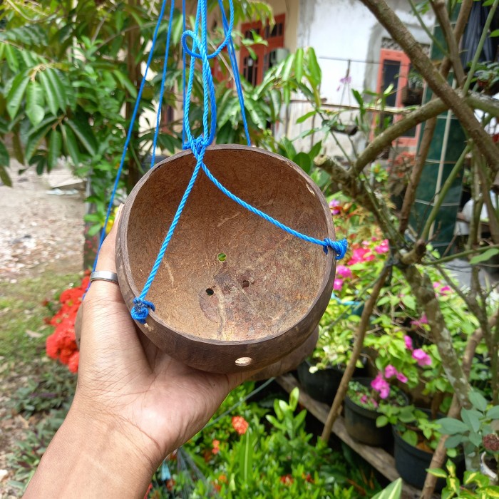 pot bunga anggrek batok kelapa pot anggrek tempurung kelapa gantung