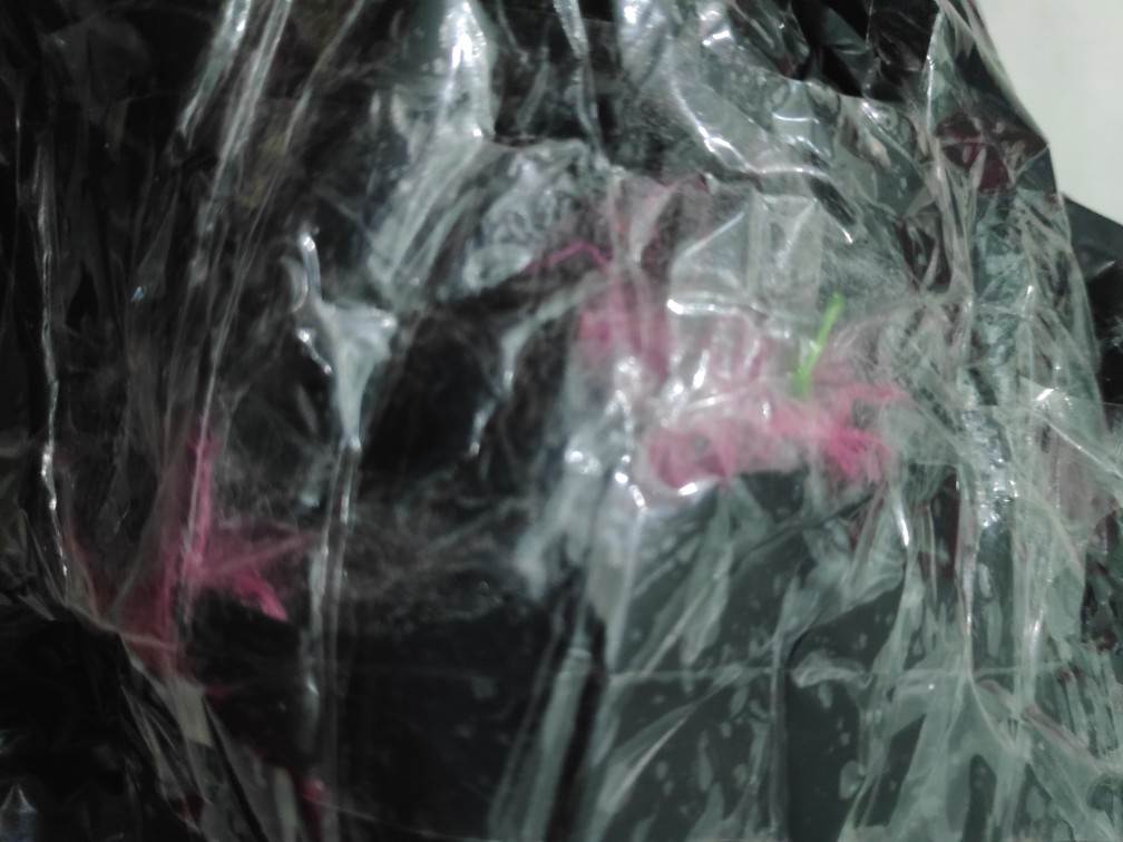 Obral Bantal Polos Bahan Bulu Rasfur Uk. 35x35cm Full Dacron