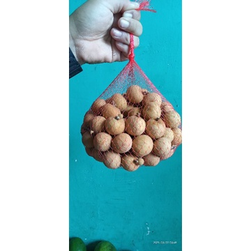 

KLENGKENG GOLD THAILAND