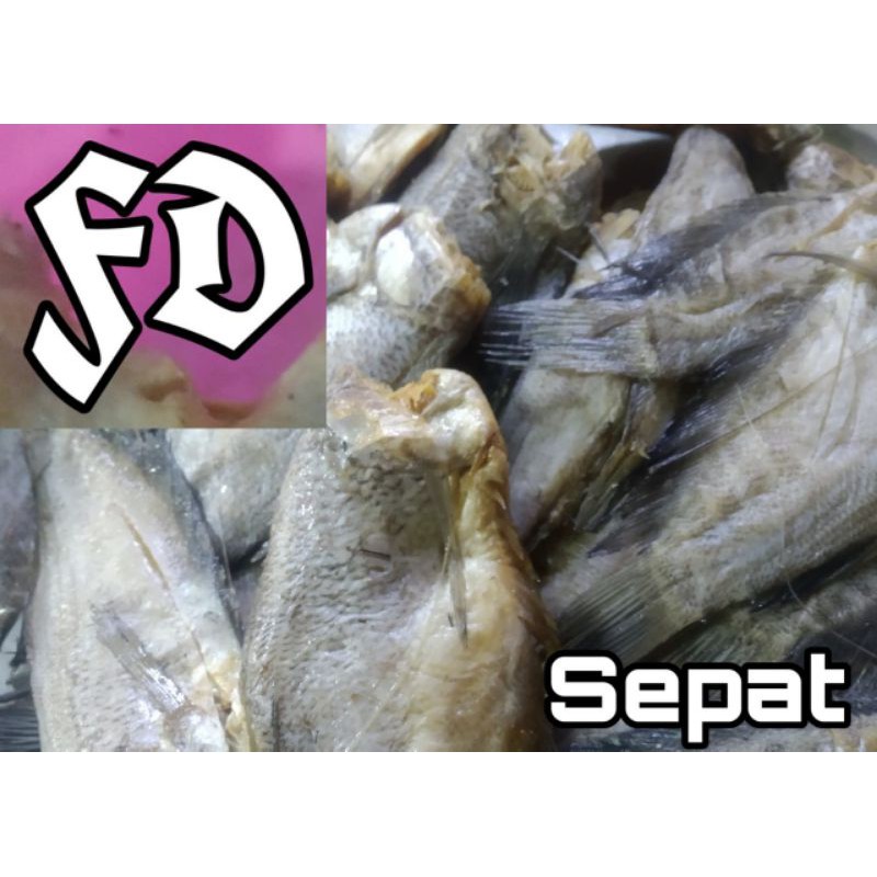 

ikan asin sepat