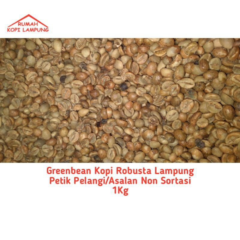 

Greenbean Biji Kopi Robusta Lampung Non Sortasi Petik Pelangi/ Asalan 1 Kg | Rumah Kopi Lampung