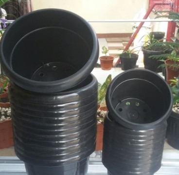 Pot plastik hitam RC 20