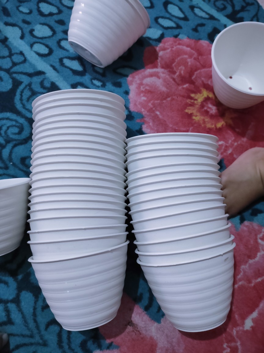 Pot Tawon 10cm Putih Pot Bunga Plastik Lusinan Murah Pot Bunga Murah Grosir Lusinan