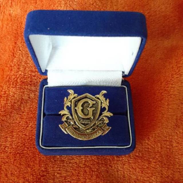 UNOFFICIAL Pin The Gifted