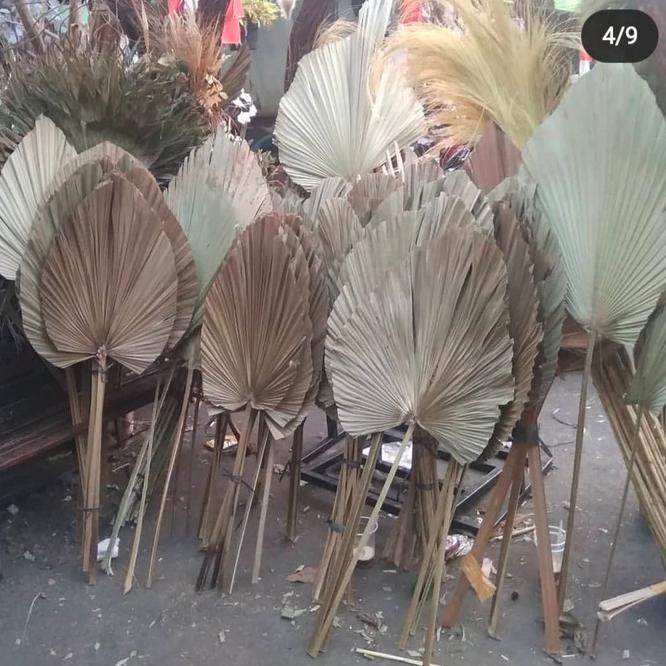 Bestseller Palem , Palem Kering, Daun Palem Kering, Rustic, Dekorasi '
