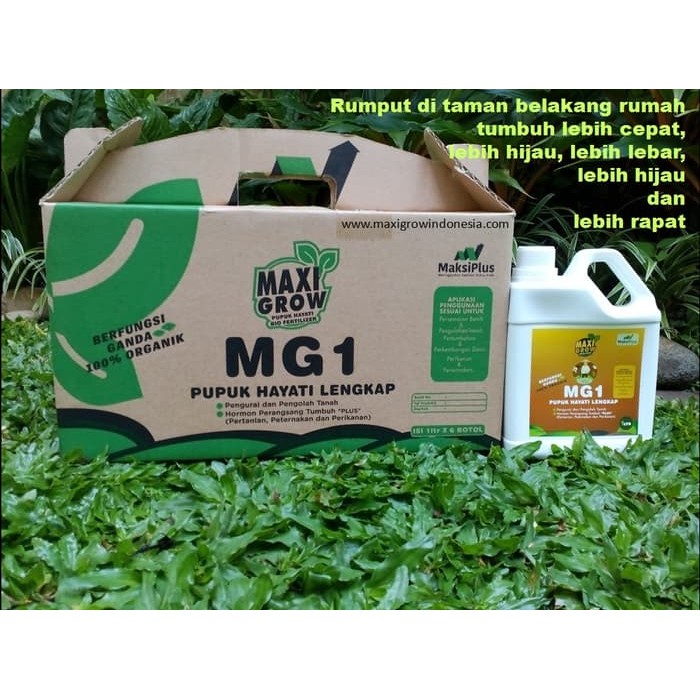 Pupuk Cair Hayati MaxiGrow MG1