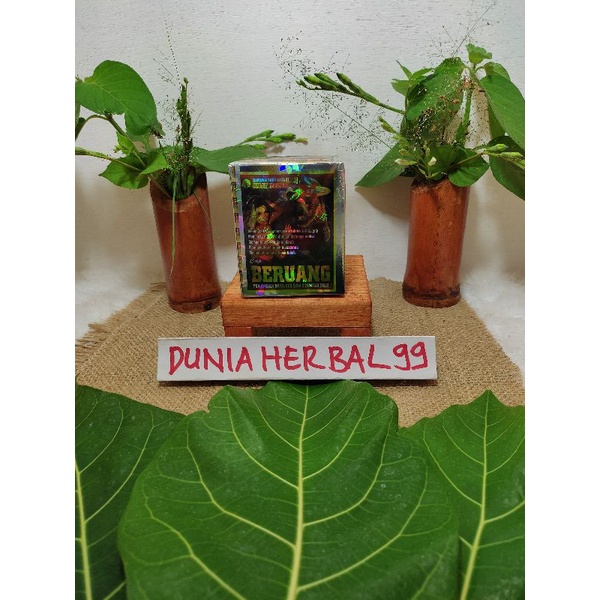 Beruang hitam kapsul