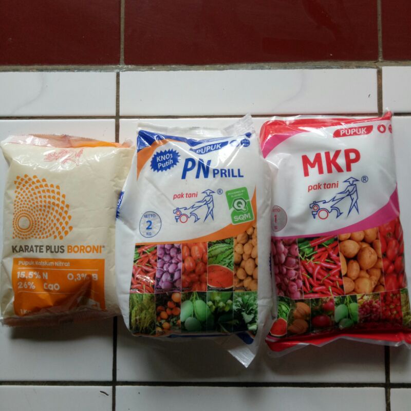 PAKET PUPUK ANGGUR GENERATIF 4KG MKP KNO3 PUTIH BORON
