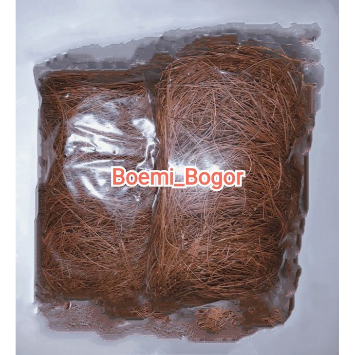 

DAUN PINUS KERING PAKET HEMAT