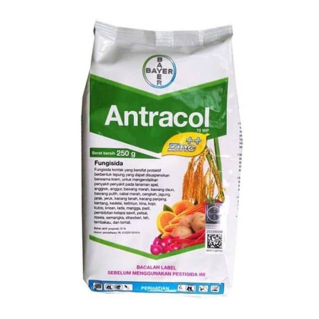 Fungisida Antracol 70WP 250 gram - obat jamur