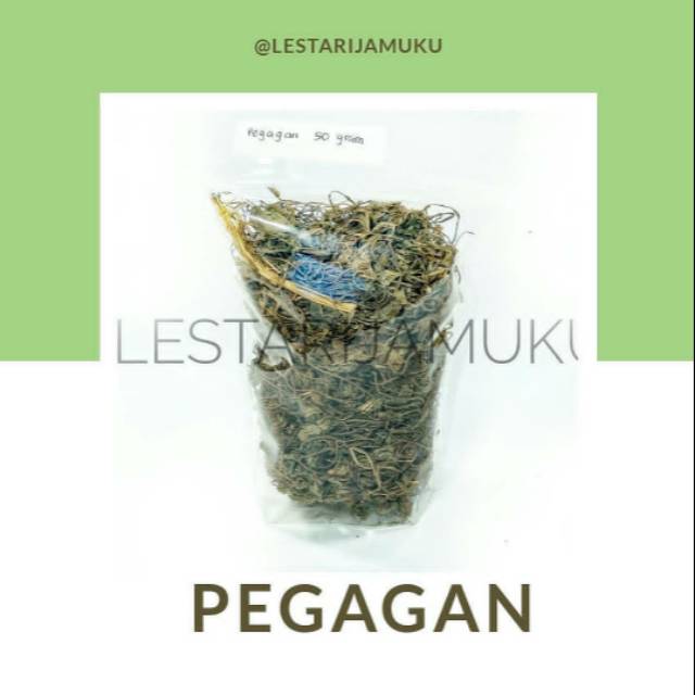 

SIMPLISIA PEGAGAN KERING PREMIUM