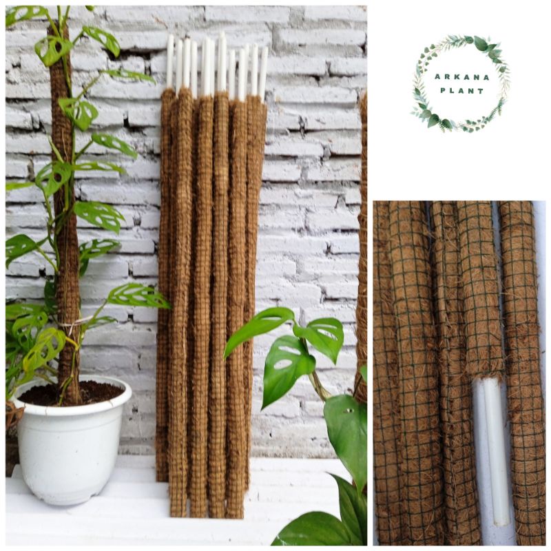 Turus Tanaman 150cm / Penyangga Tanaman