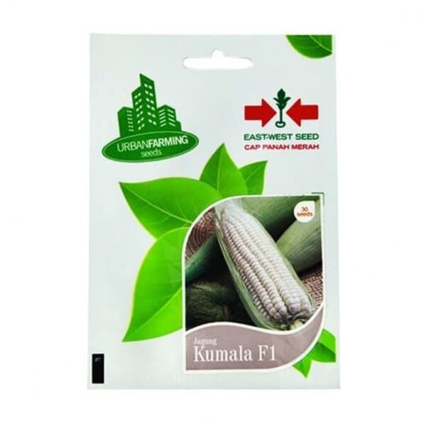Benih Bibit Jagung Manis Pulut Kumala F1 30 Biji Tanaman Panah Merah