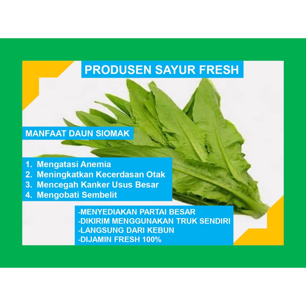 

Daun Siomak Fresh Langsung Dari Petani