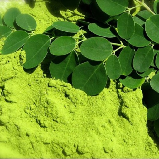

Serbuk Daun Kelor 100% Murni Moringa Oleifera