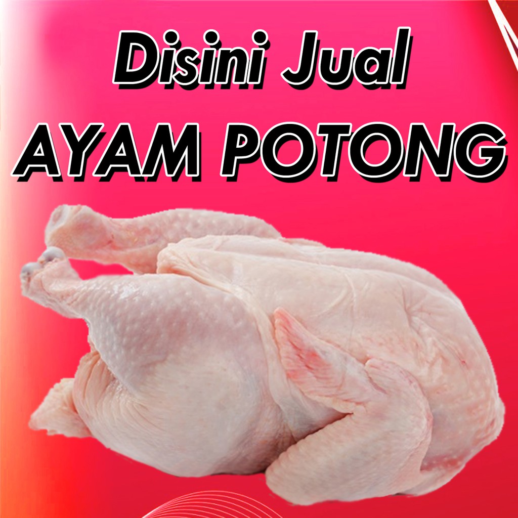 

Ayam Potong Beku 800gr - 1 KG / Ekor