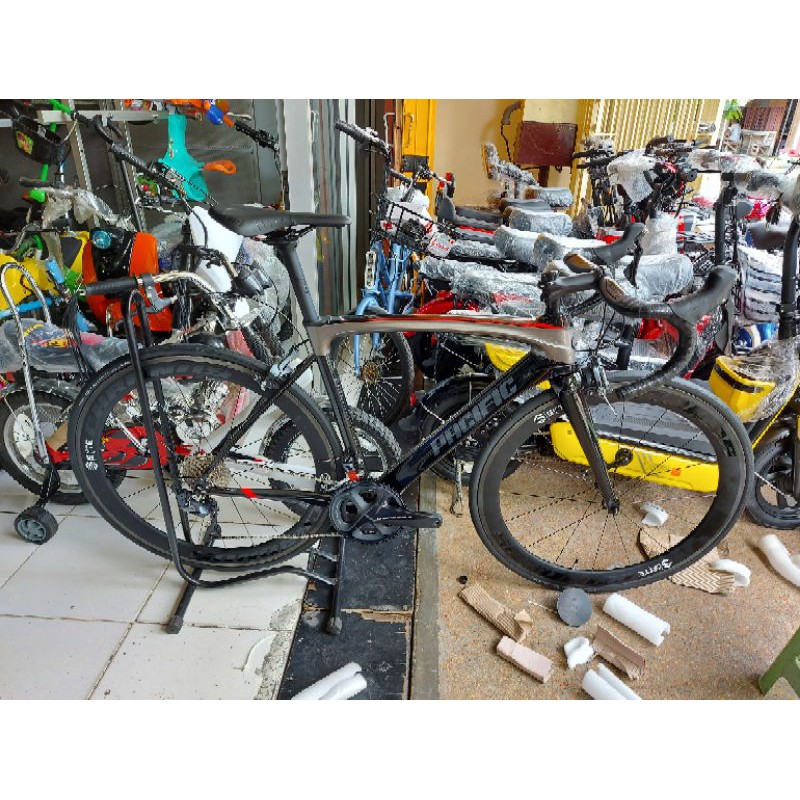 sepeda roadbike 700C Pacific Primum 9.0 (48,50,52,54)