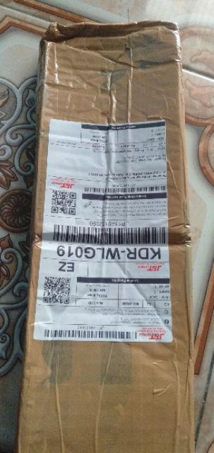 Bibit Tanaman Tabebuya Sakura