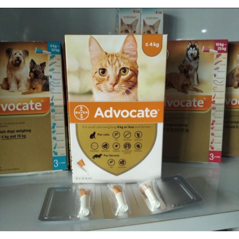 (1box = 3tube) Advocate cat up to 4 kg - obat tetes kutu ampuh