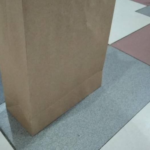 

(zbt-234) Paper bag xl polos tali kertas terlaris dan murah isi 12 pcs #