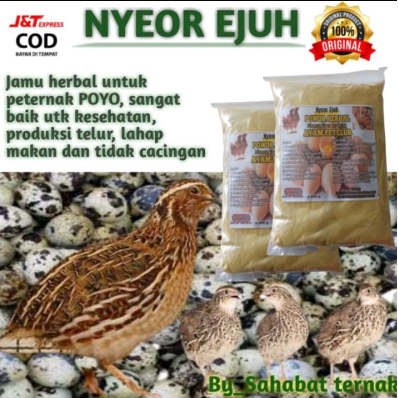 

NYEOR EJUH JAMU/MINUMAN HERBAL PUYU/AYAM PETELUR DAN SEJENISNYA SUPER JOSSSSSSS