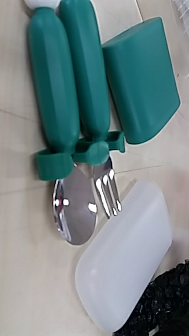 Miniso Official Cactus Travel Cutlery Set Stainless Steel Portable Home-2 Piece Set