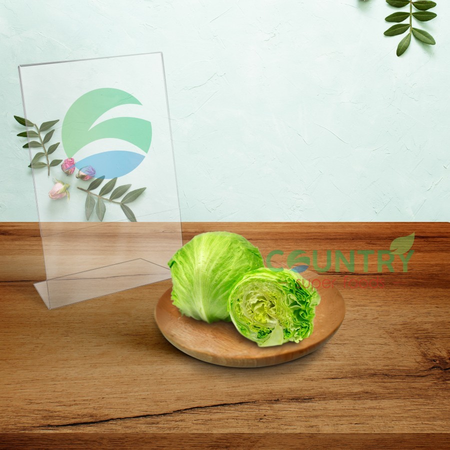 

[ 1 KG ] 100% Fresh - Lettuce Head | Selada