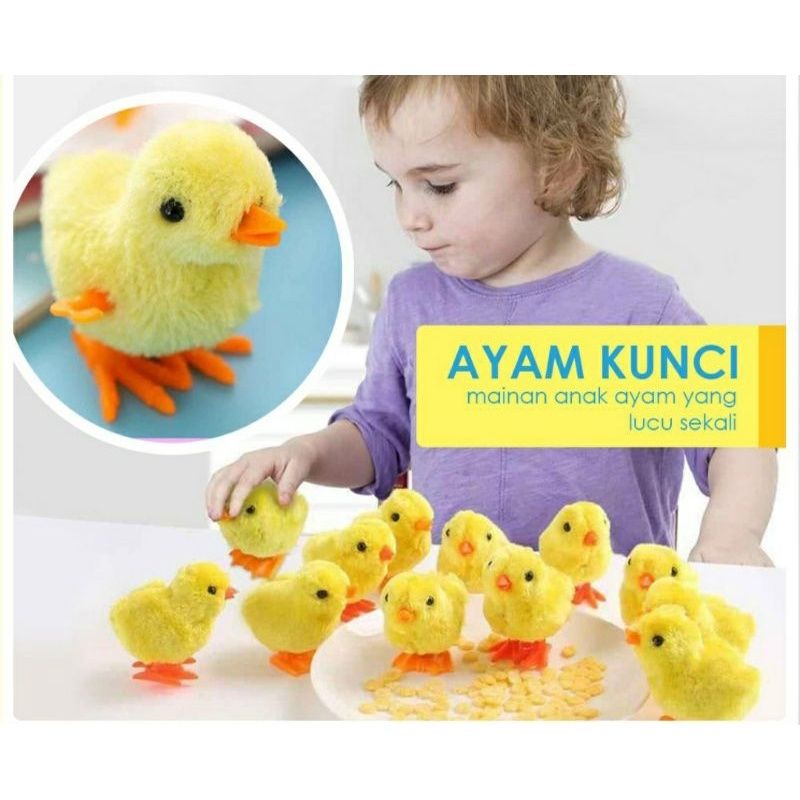 Mainan Anak Ayam Biasa / Jago / Kunci Knob Putar - Mainan Gerak Bisa Lompat Lucu