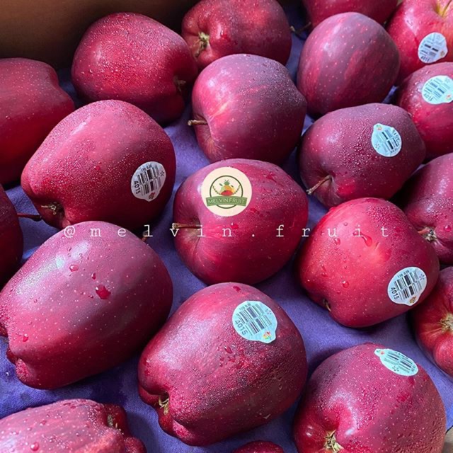 

Buah Apel Red Del fresh
