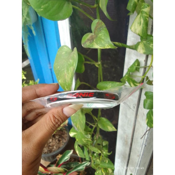 sidetape bet pingpong lis bet tenis meja donic timbul