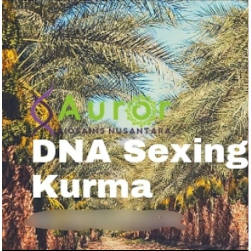 

Tes DNA Sexing Kurma + ID Card