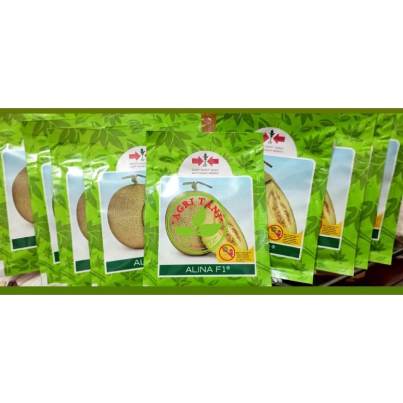 Benih melon Alina F1