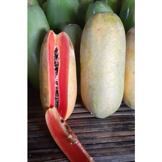 

D.cfn - Pepaya California 1pcs