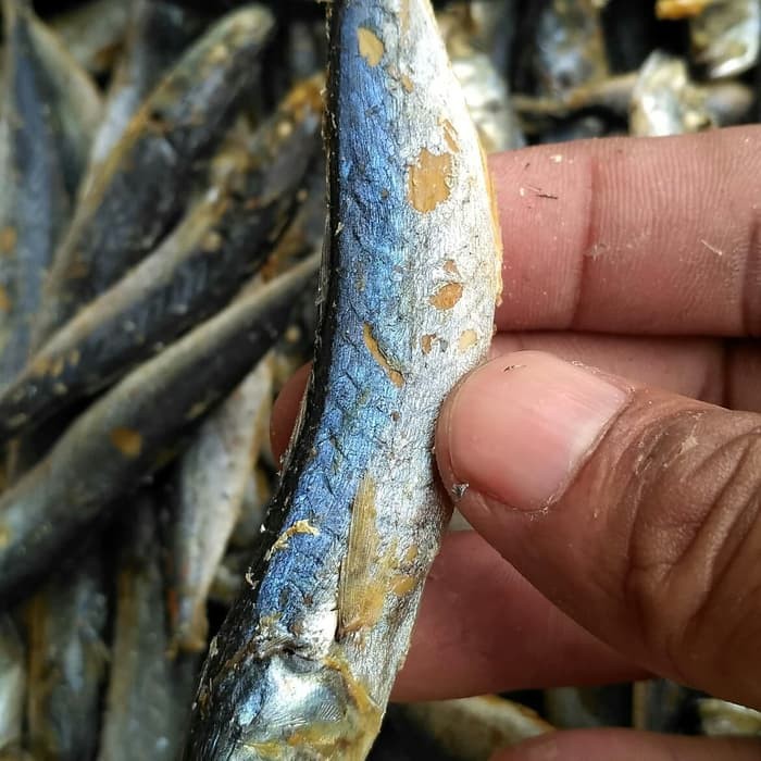 

Ikan Asin Cue Rebus 1kg