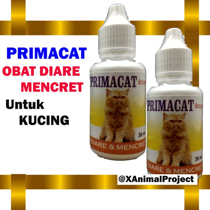 Primacat Obat Diare Kucing