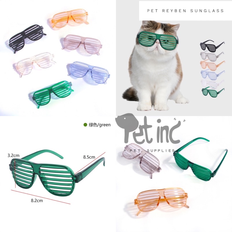 pet reyben sunglass