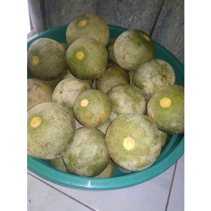 

BUAH KAWISTA ((-+1kg)) FFDLB6963