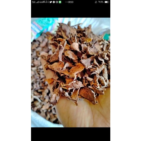 

Kunyit kering