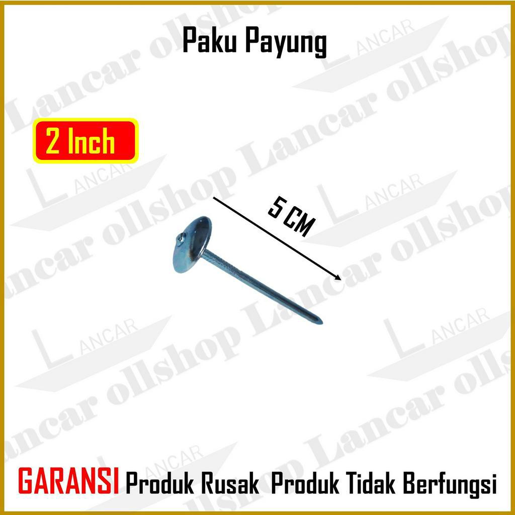 Paku Seng Asbes Payung 5 Cm 2 Inch Harga 1 Pack Atap Spandek