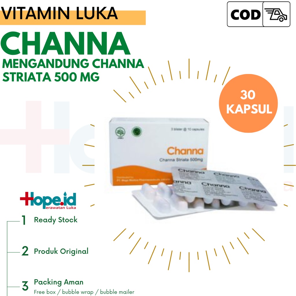 Channa | Striatamin Kapsul Albumin Penyembuh Luka